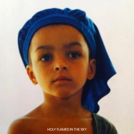 HOLY FLAMES IN THE SKY (Signed CD + Handwritten Note + Secret Show)